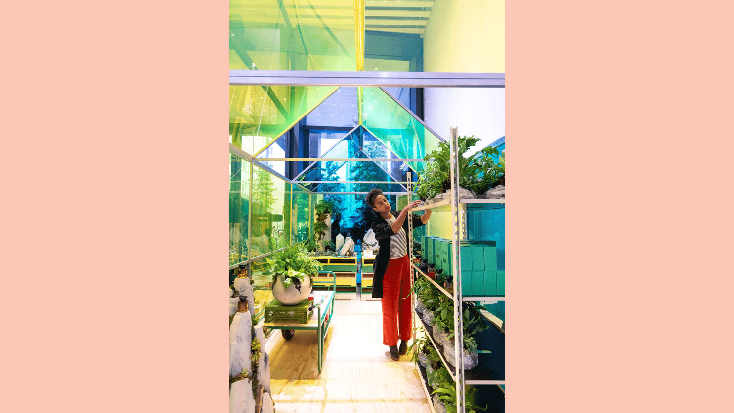 WEB Selfridges Garden Centre opening day Monday 21 June 2021 featuring featuring resident gardener Angela Maynard