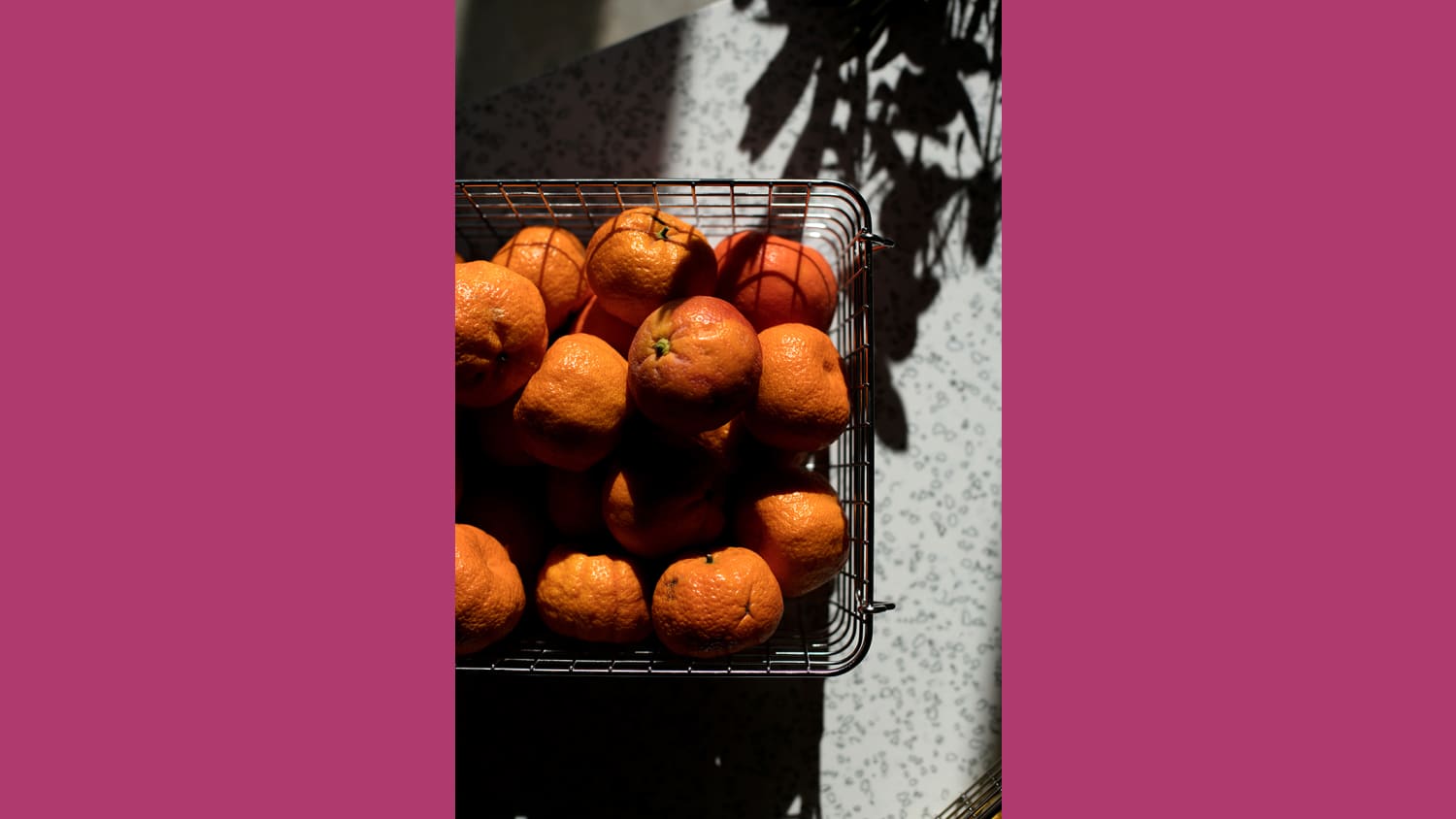 WEB Cosmetically Challenged Fruit The Goods Mart credit Wyatt Conlon