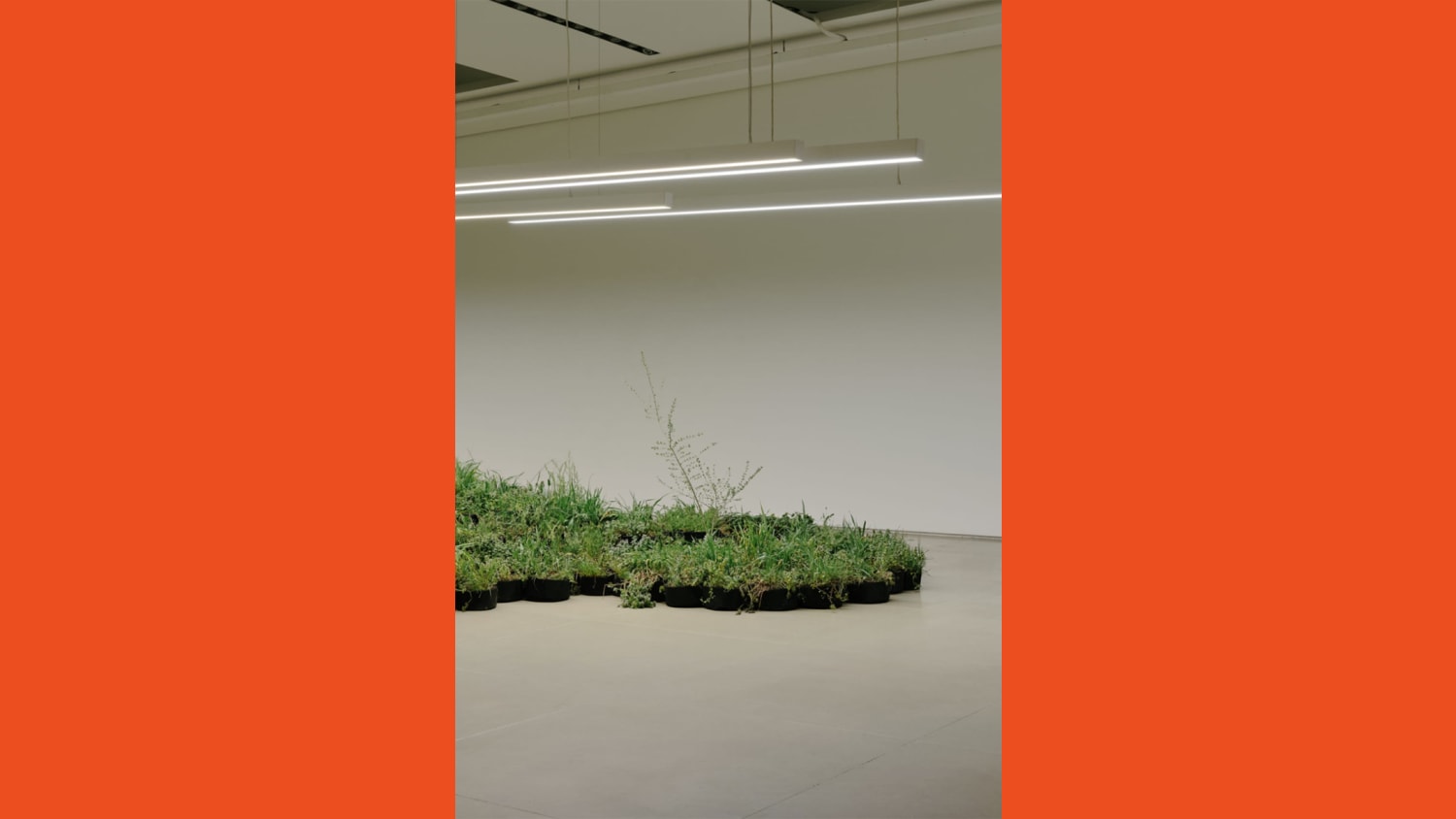 WEB Screen Shot 2019 04 18 at 12 21 05 PM