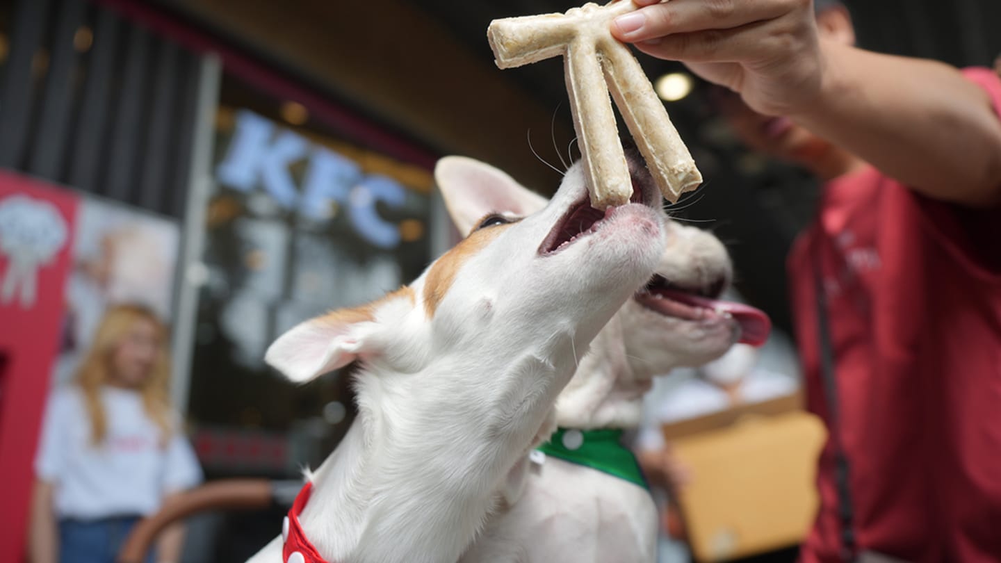 KFC BONE TIE EVENT 002