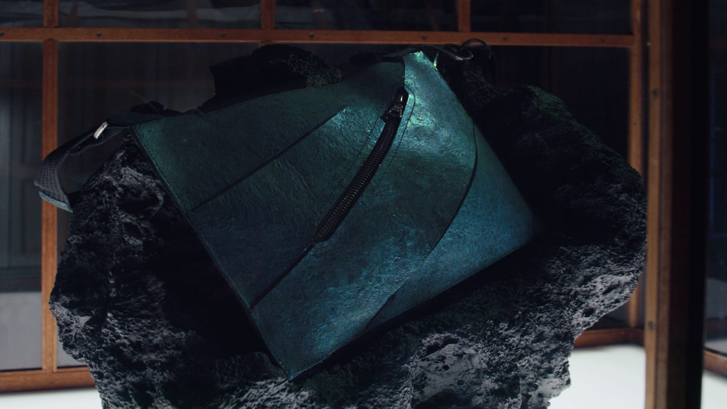 T rex bag in the museum