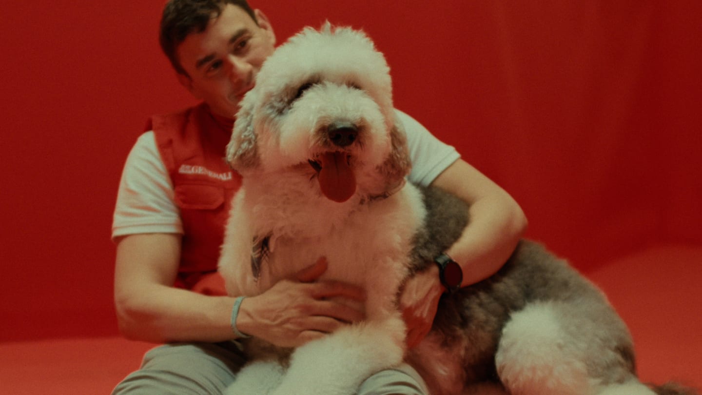 A dog with a Generali's worker