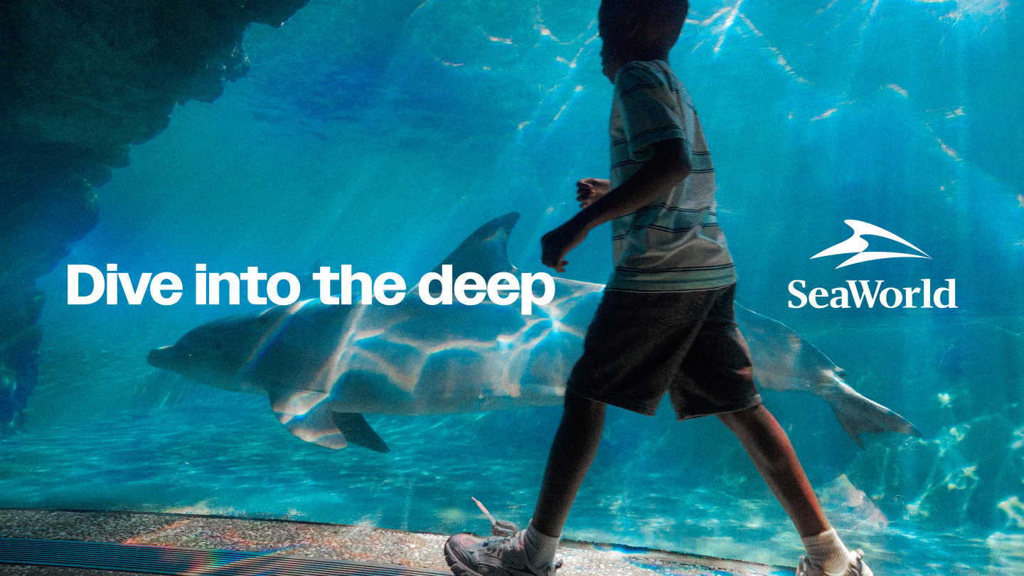 image of a young child walking in SeaWorld with a dolphin swimming next to him.