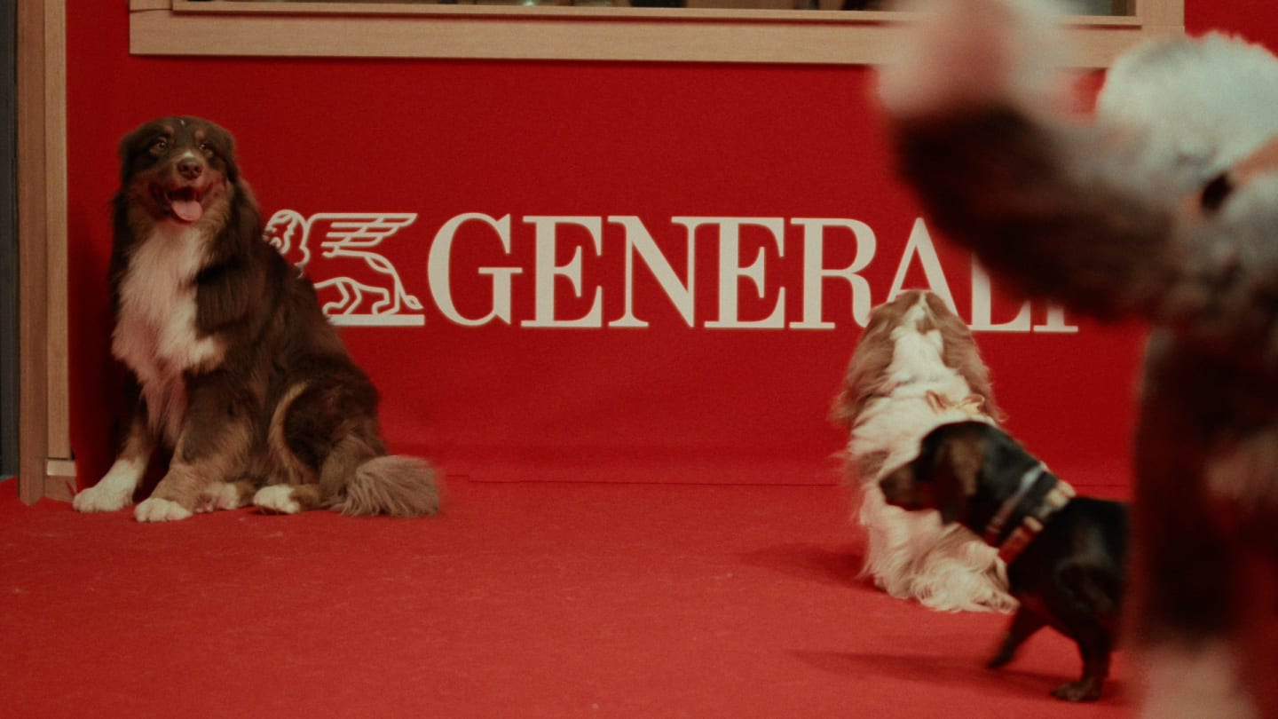 Dogs in Generali's space