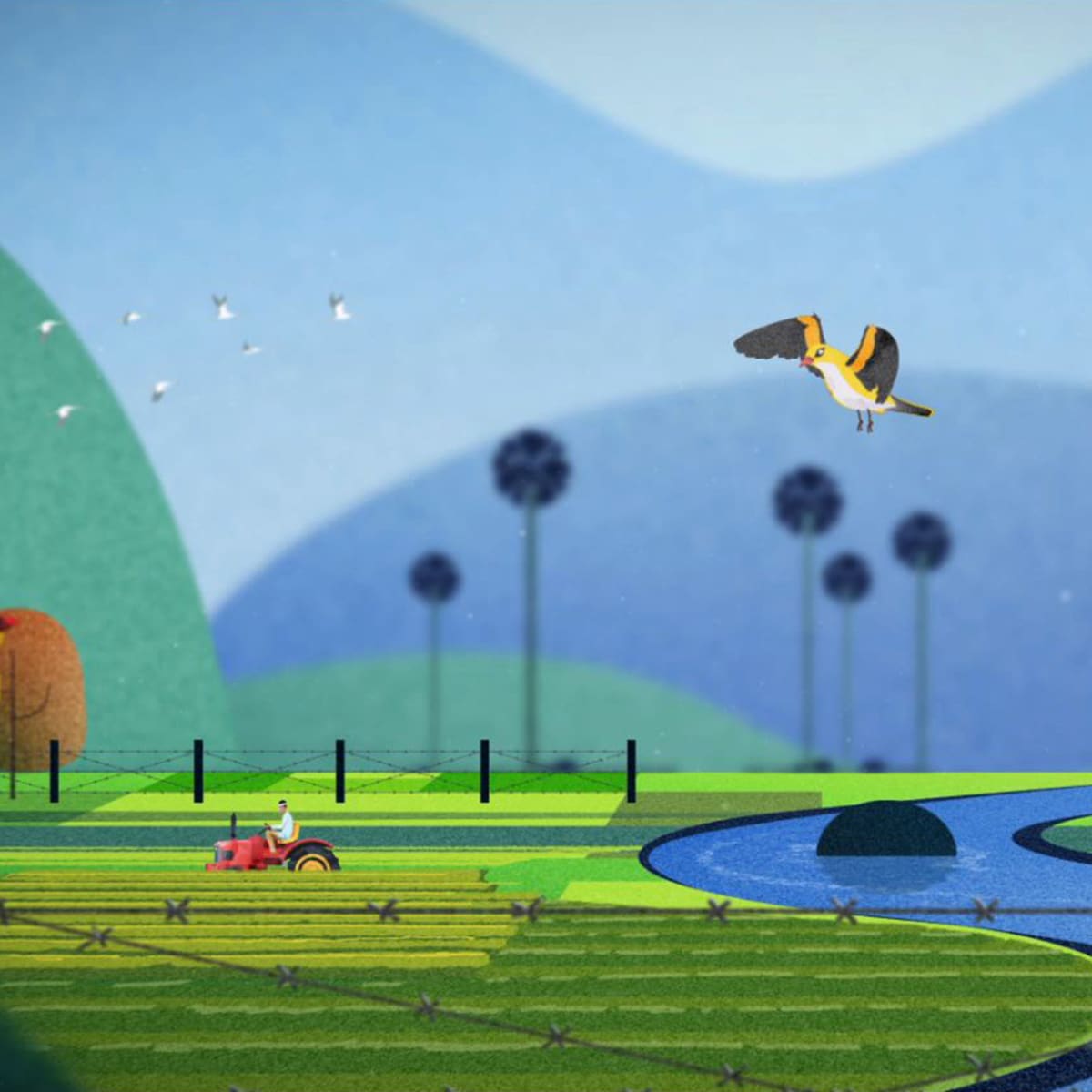 Wise little Birds hero 1920x1440px