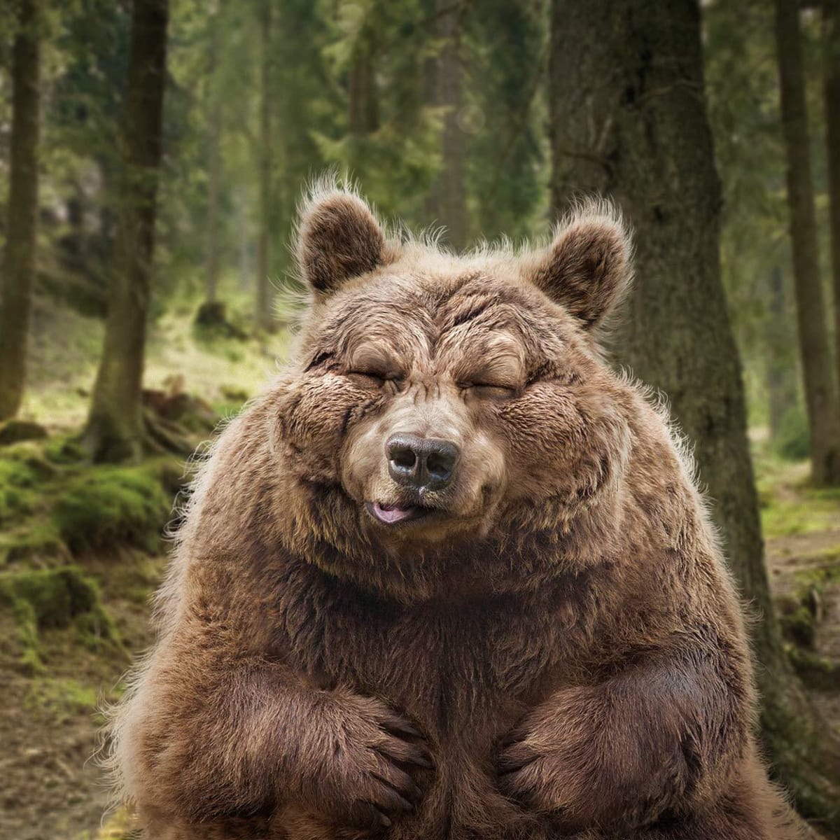 Tierpark Goldau Helly Hansen Baerenschiss 03