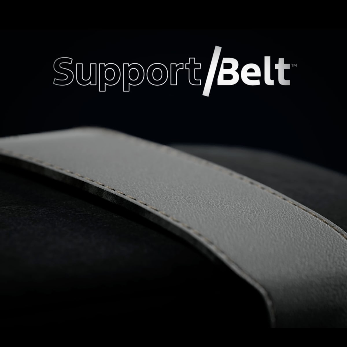 Support Belt Hero