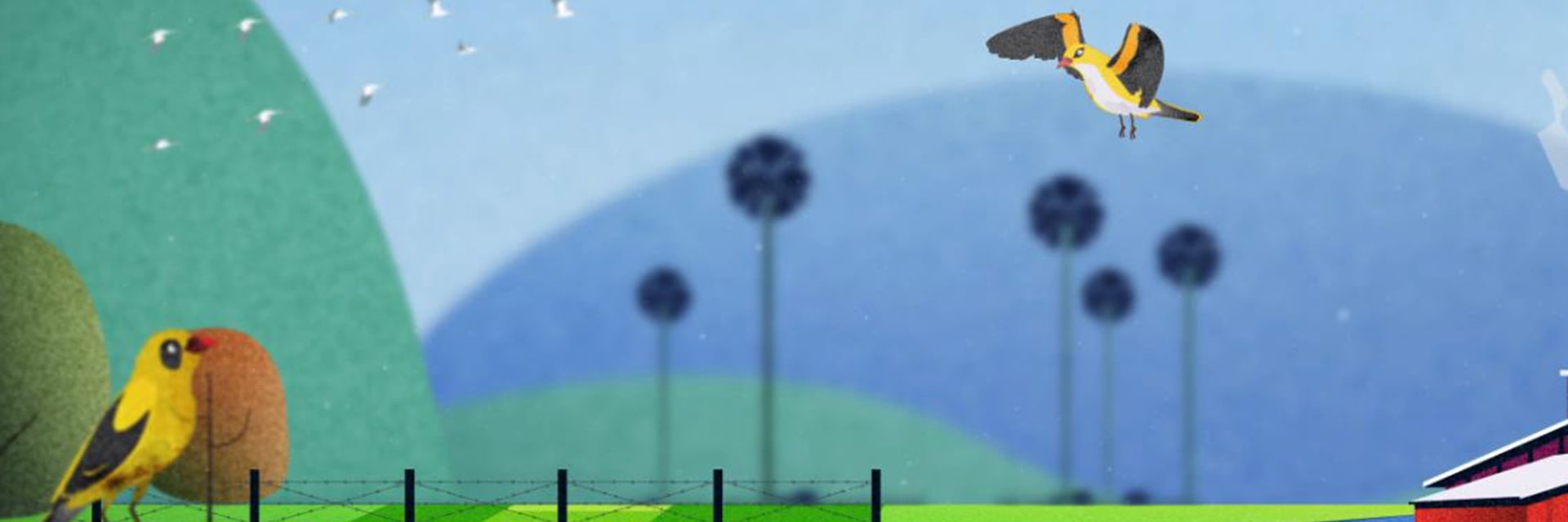 Wise little Birds hero 1920x1440px