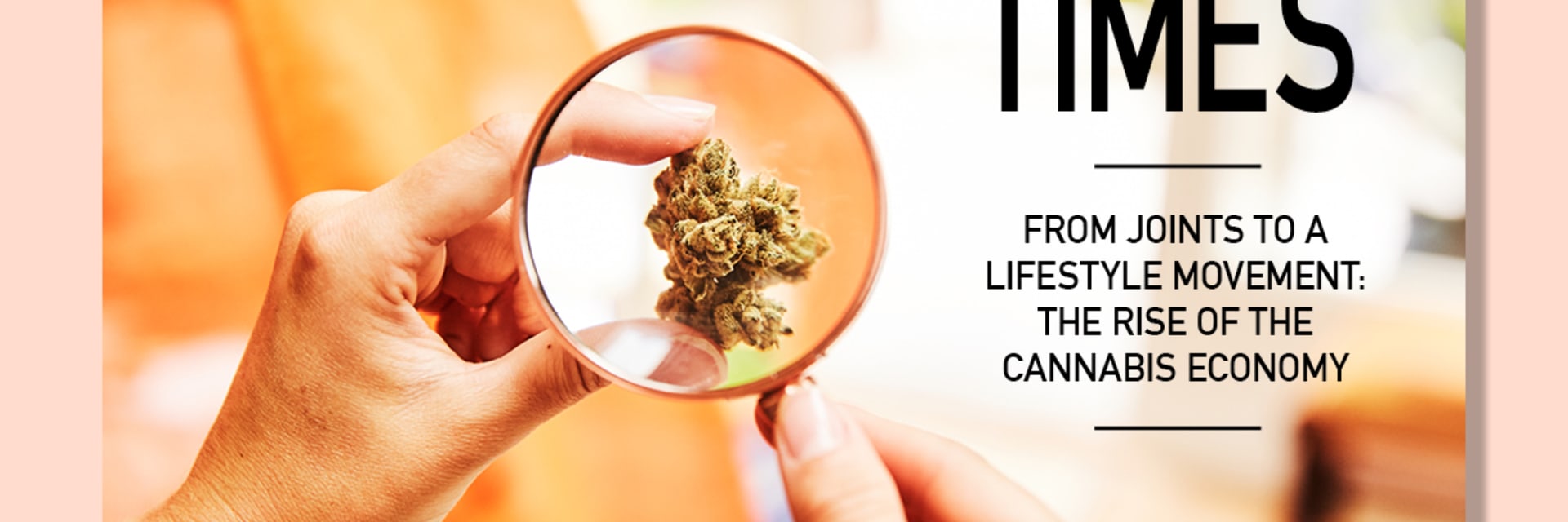 JWT High Times COVER