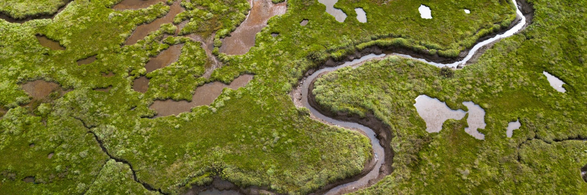 Saltmarsh Shutterstock