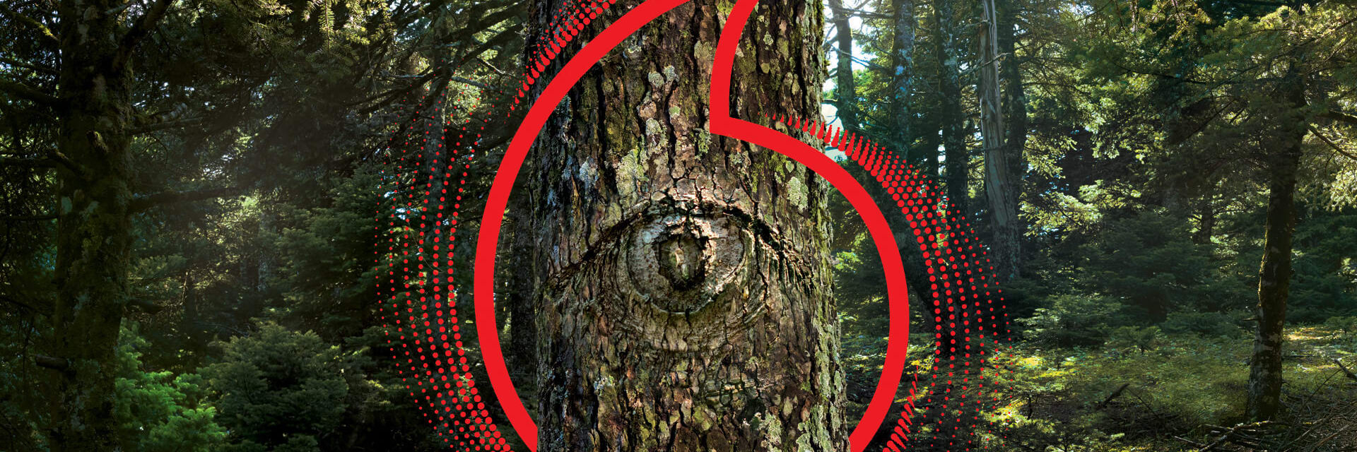 VF smart forest 1920x1080 speechmark