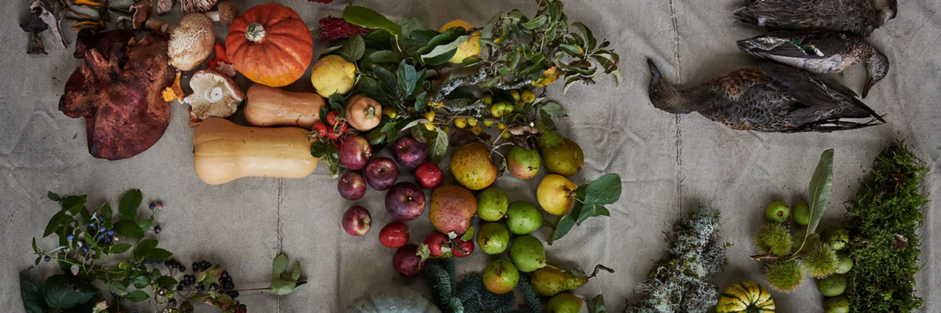 A table of harvested and hunted ingredients, left to right: fungi, gourds and herbs, apples and pears, a grey goose and three birds at right.