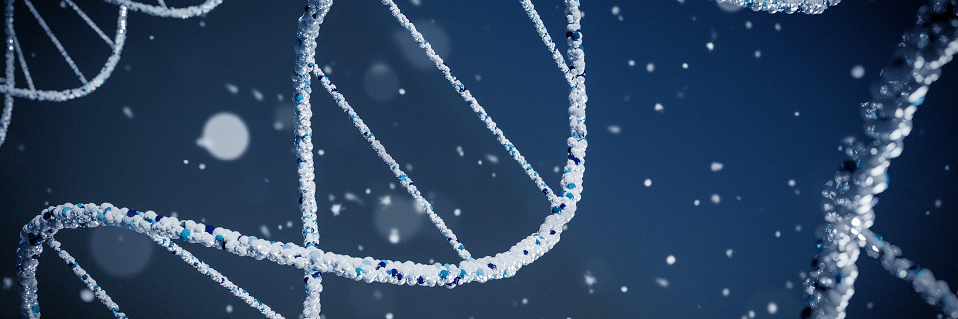 Several white, dotted DNA sequences in front of a dark navy background.
