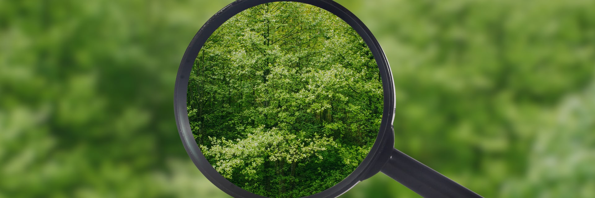 Discoverability Blog Landscape