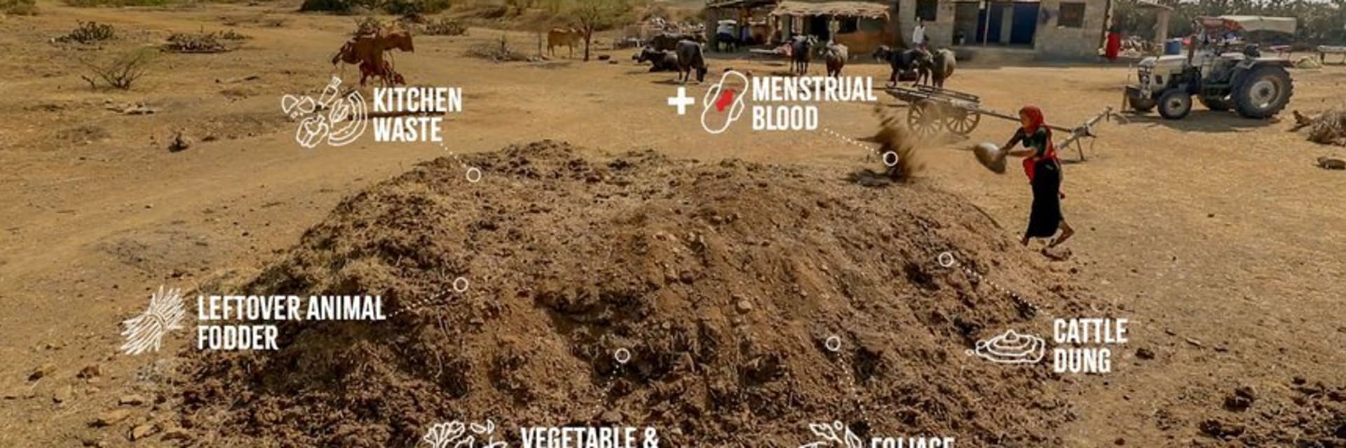 Menstrual blood used as fertiliser