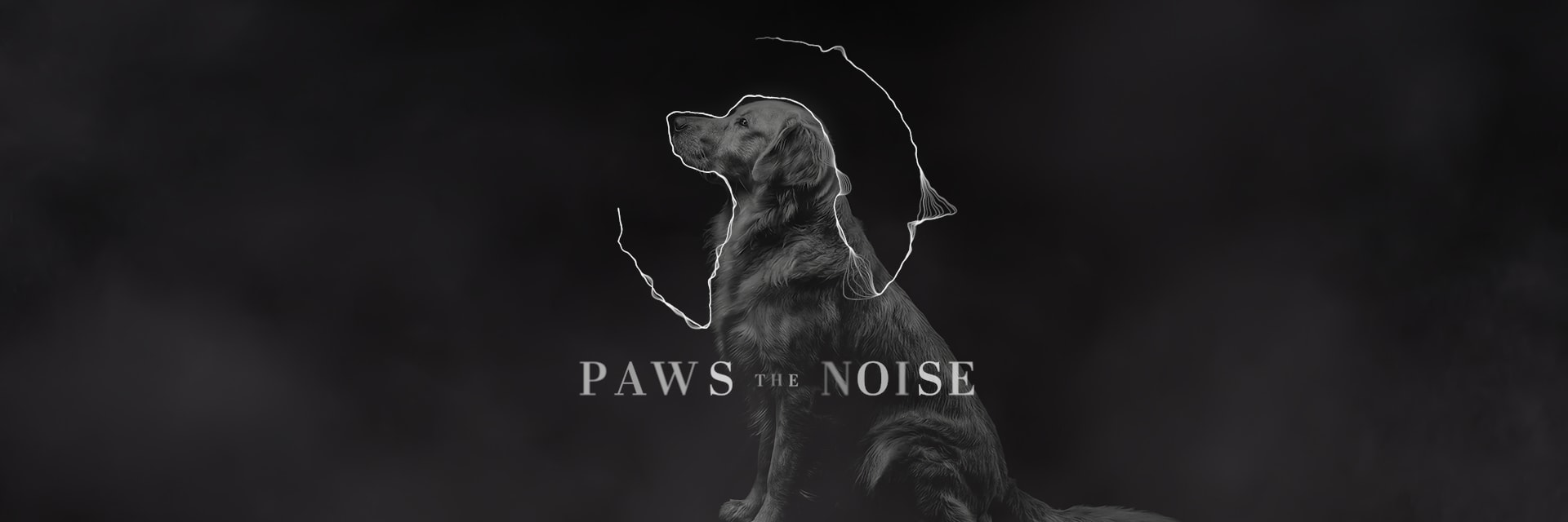 Dog in blanck and white and the name of the campaign in the middle "Paws the noise"