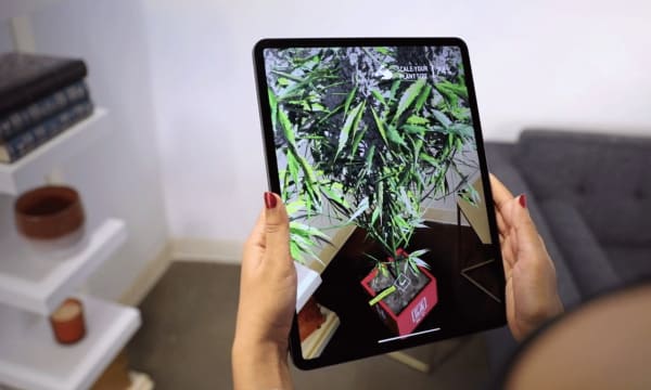 FIGR Budtender