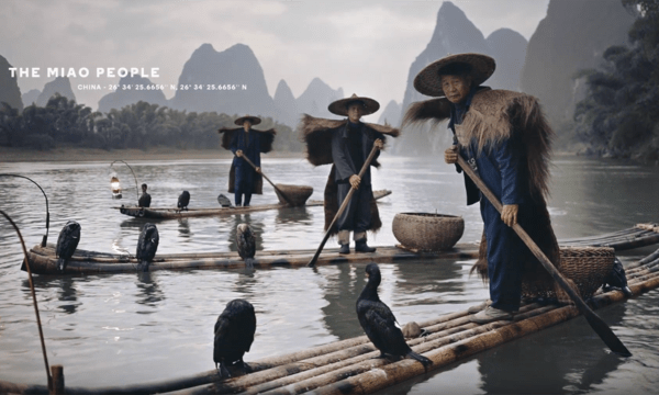 #SOS Save Our Sentinels – The Blink Film
