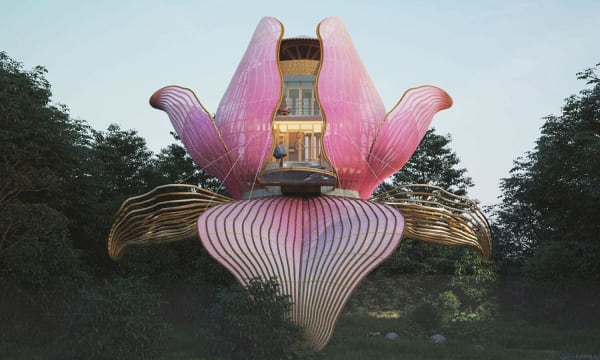 Air BNB flower