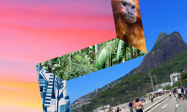 WT Inspiration mark with images of Rio including rainforest and monkey on sunset background