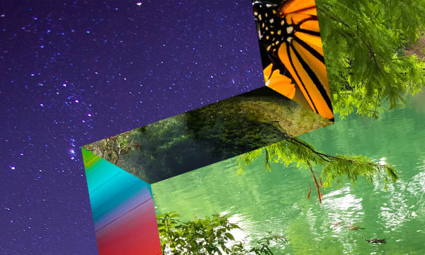 WT Inspiration symbol on purple starry background with images of nature