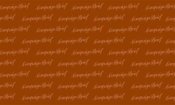 Campaign Brief Background