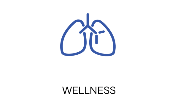 Wellness VML