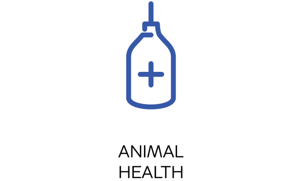 Animal Health VML