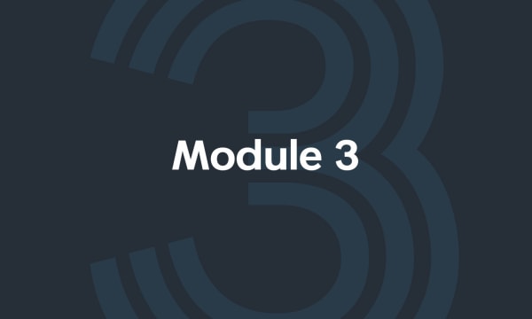 Module 3