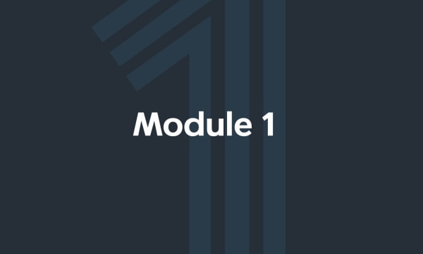 Module 1