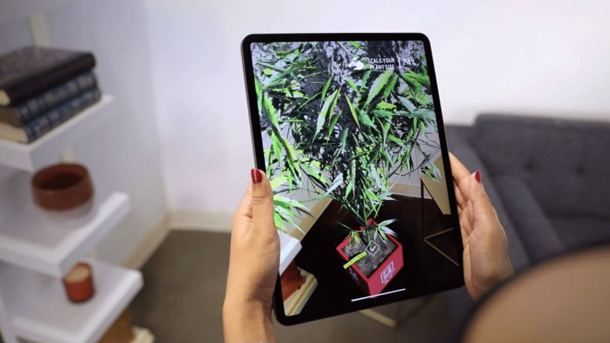 FIGR Budtender
