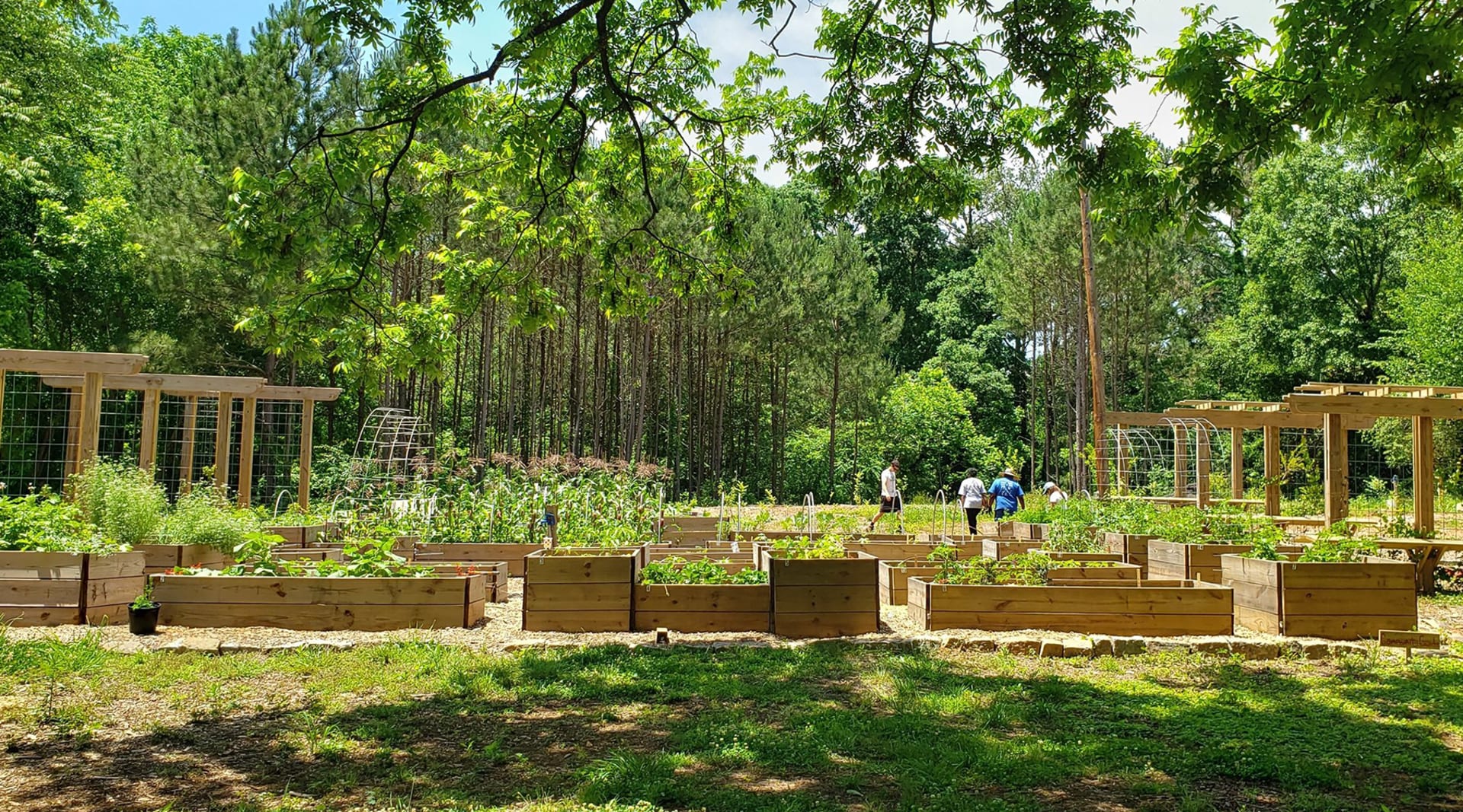 HERO Atlanta Food Forest