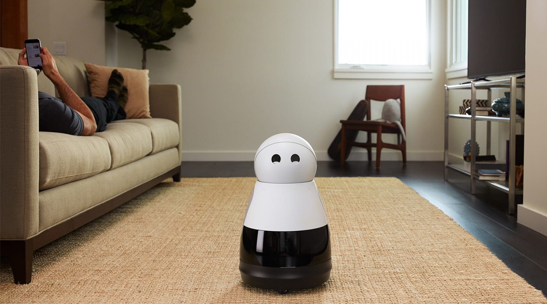 WEB Kuri Speaks Robot 1