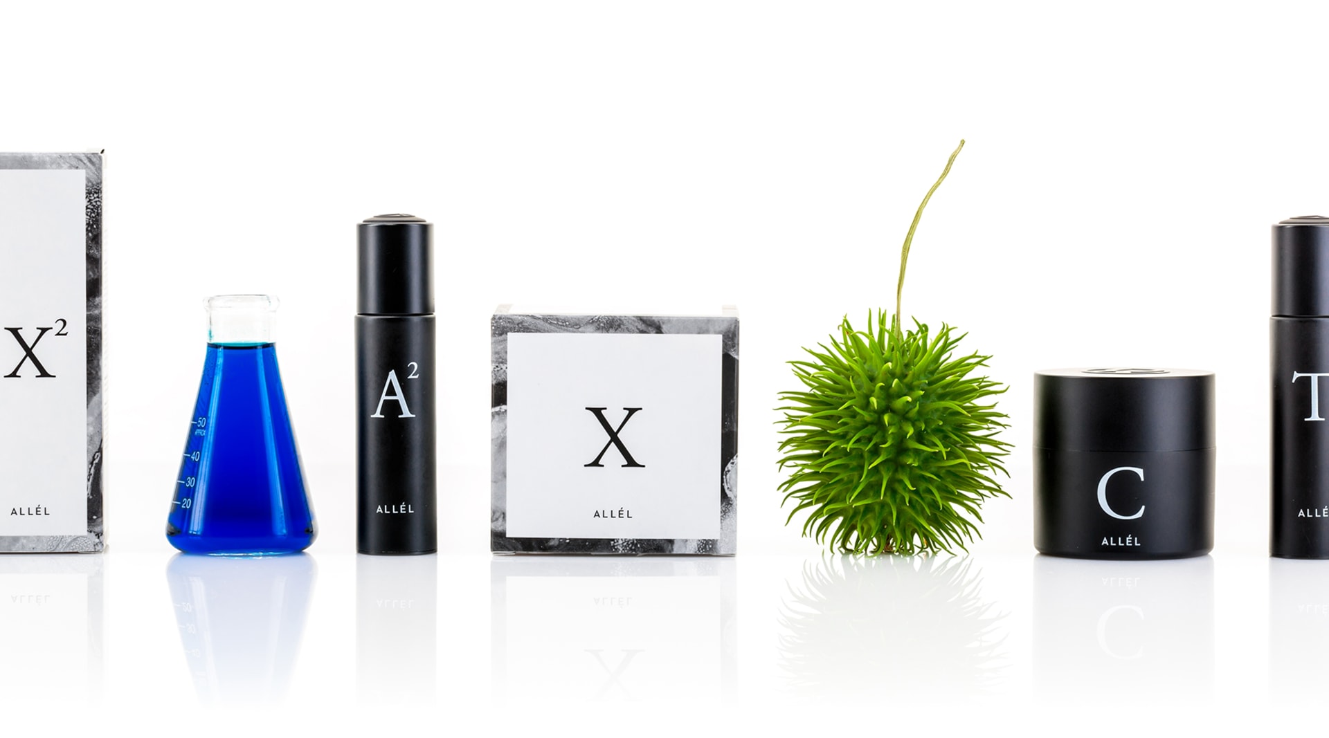 HERO4 Allel 2016 09 26 1169