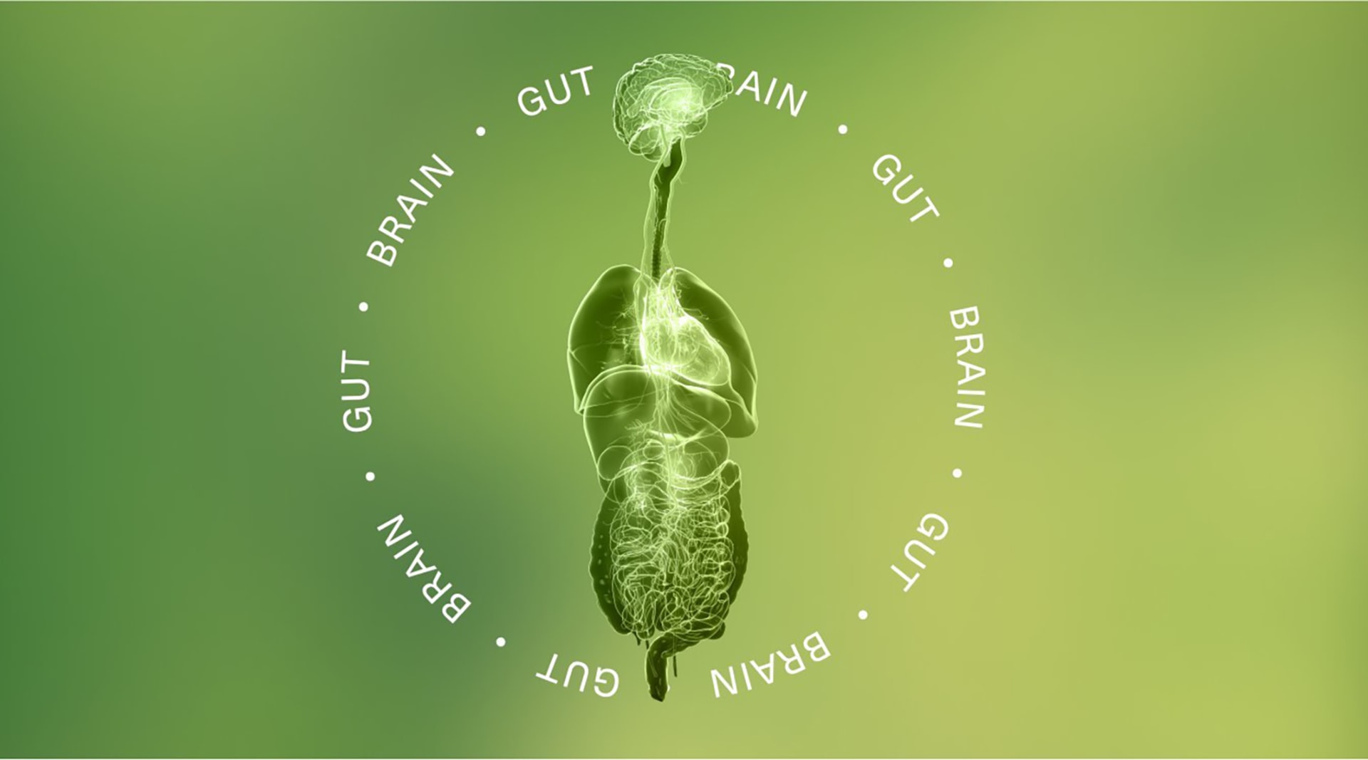 A green image with a digitally-rendered digestive system of organs at the center. The words "BRAIN" and "GUT" repeat in all-caps in a circle around the image.