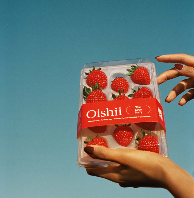 Oishii Koyo Berries2 copy