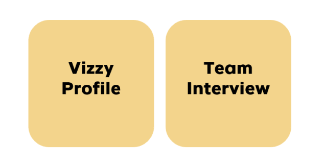 Step 1: Vizzy Profile, Step 2: Team Interview