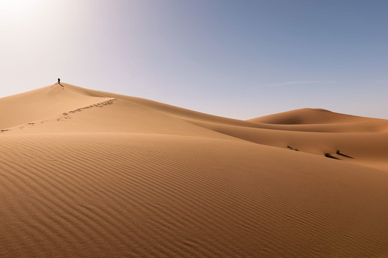 WEB Erg Chebbi Desert Sahara 585300509