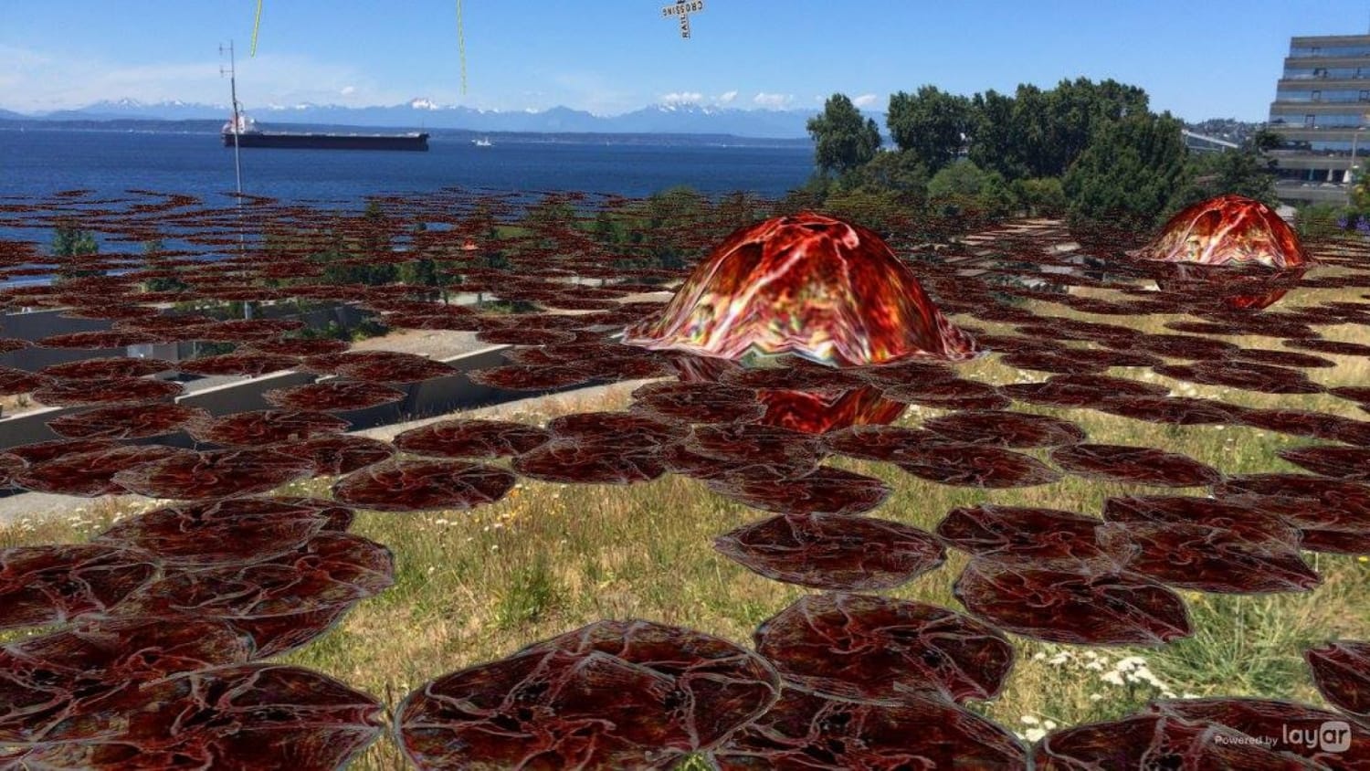 Gota redalgae photomw 13528209