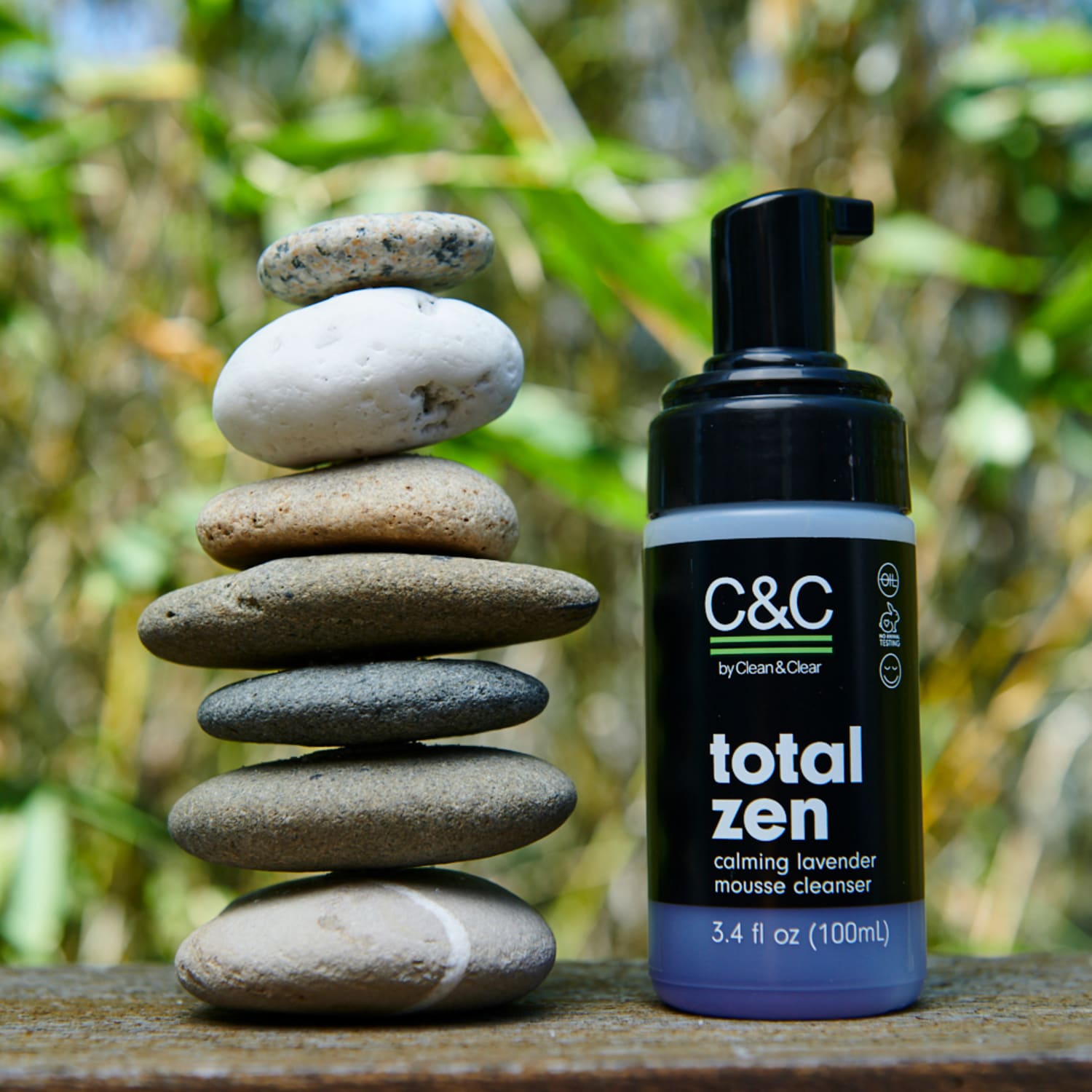 WEB Clean Clear 10342