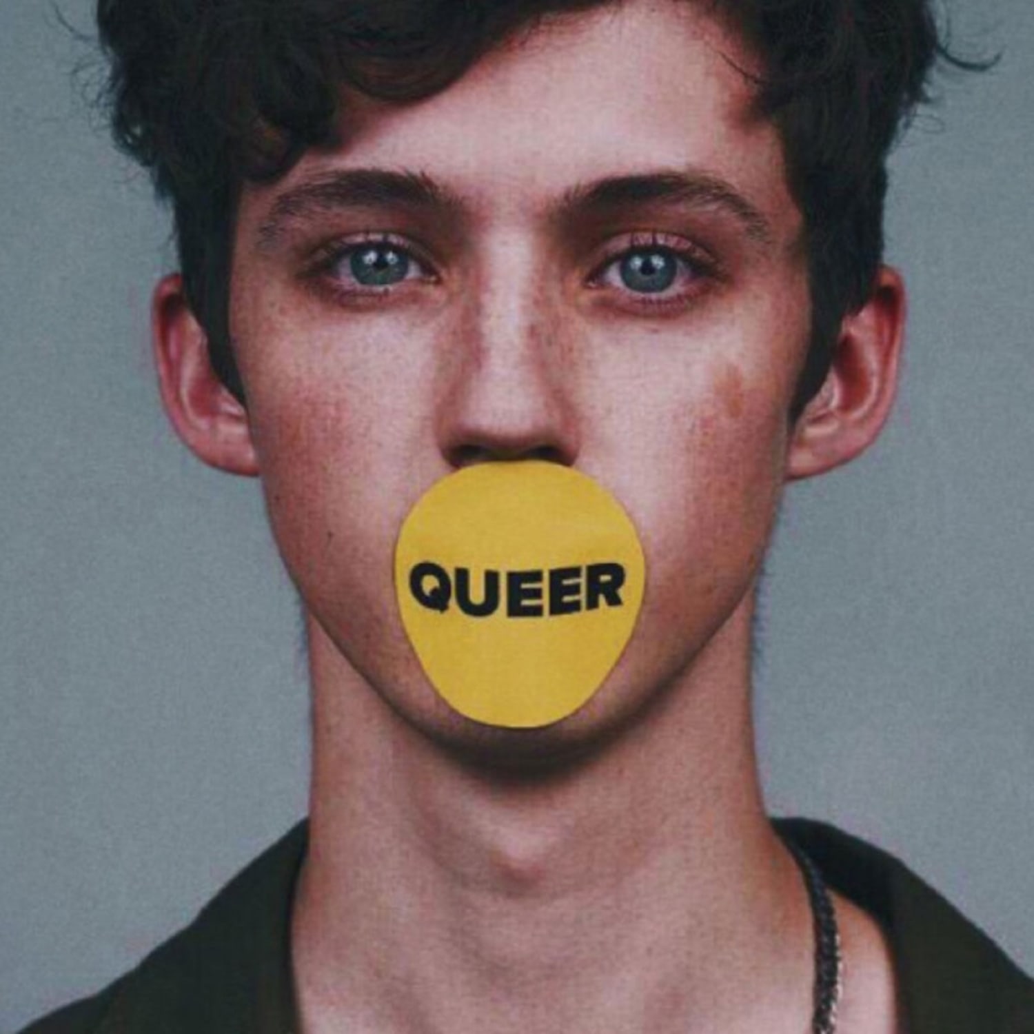 Web troyesivan