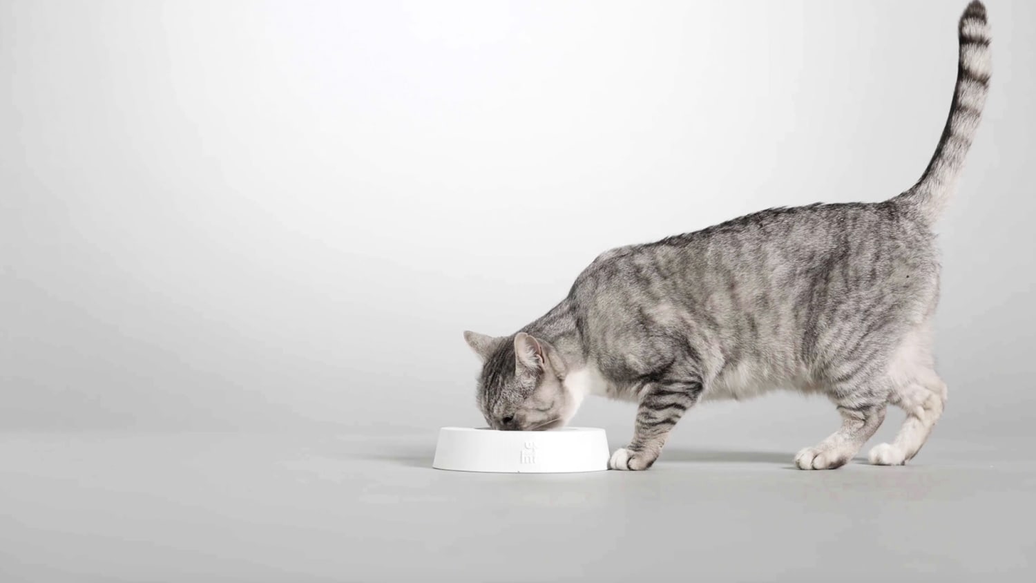 Fitbowl 03