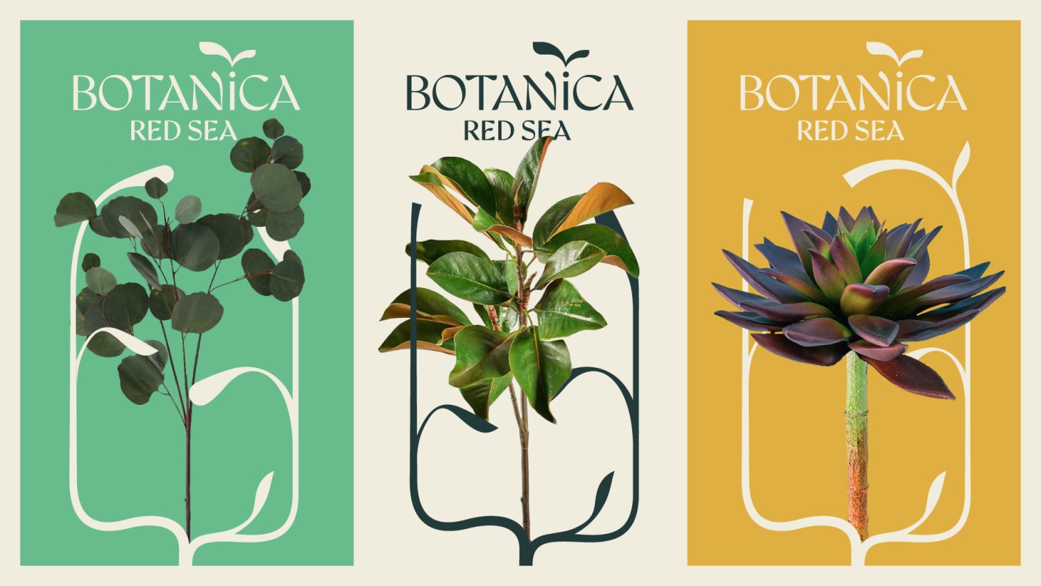 BOTANICA 01