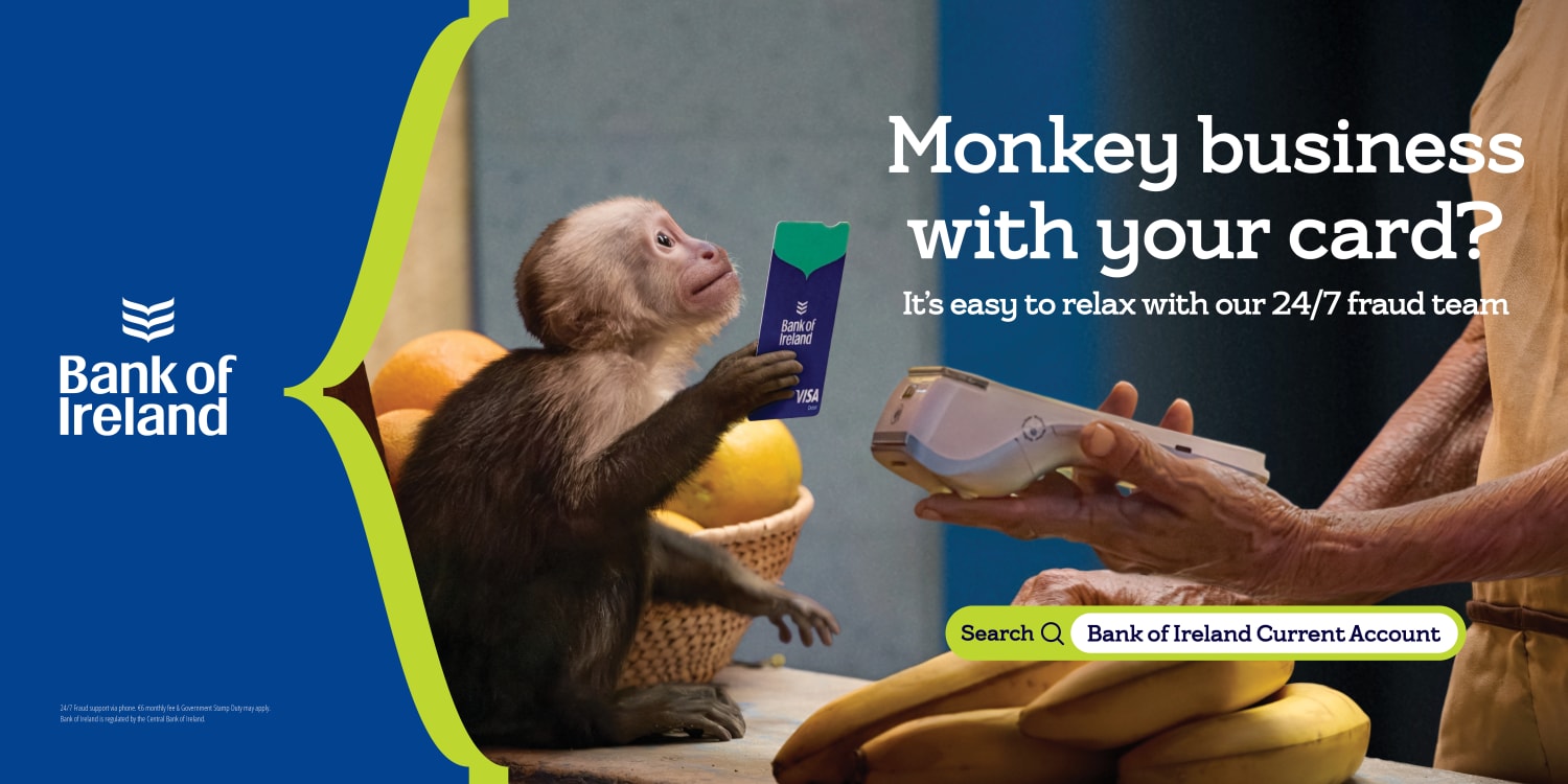 Bank of Ireland Folk VML Advertising Dublin 00002
