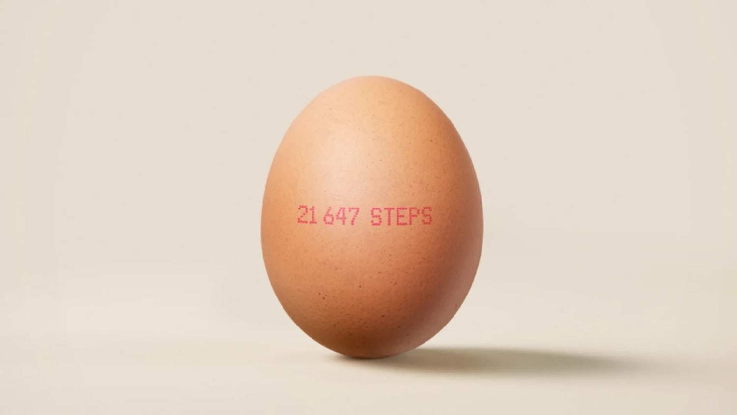 FitChix Egg