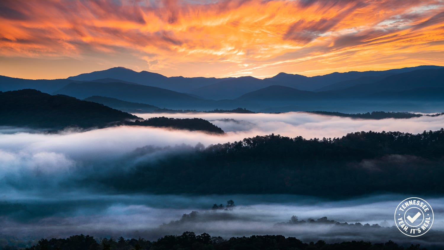 TDTD Jared Kreiss Smoky Mountains