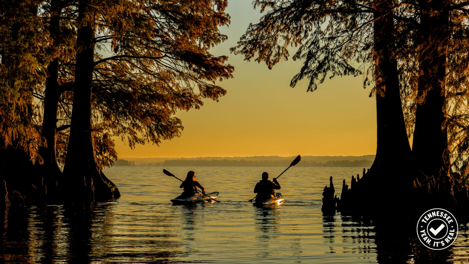 TDTD David Felipe Rincón Reelfoot