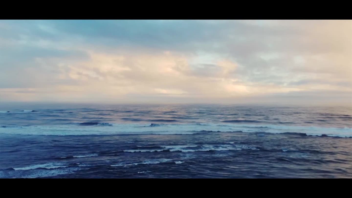 TASTE OF EUROPE Video case