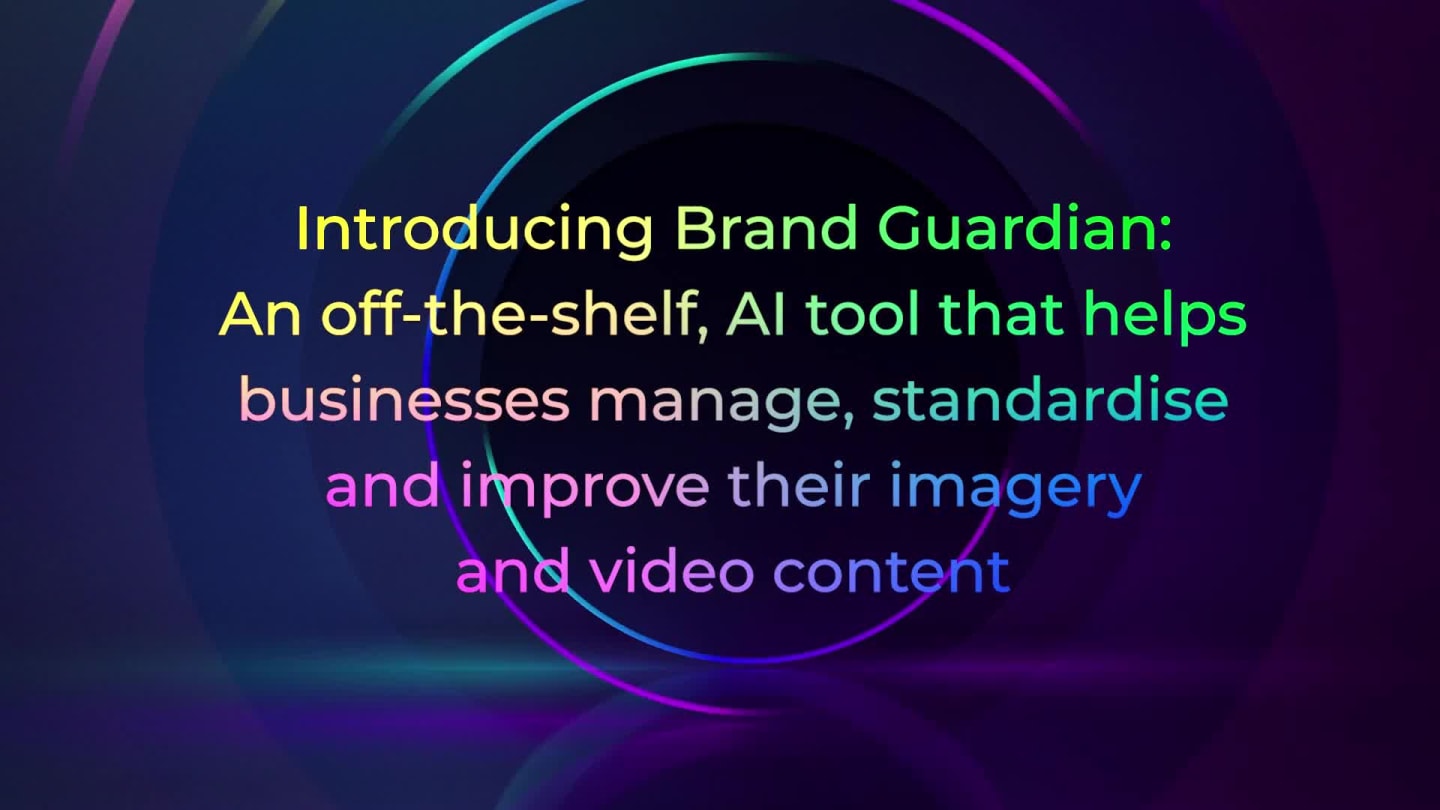 VML brand guardian update 2024 v1 small