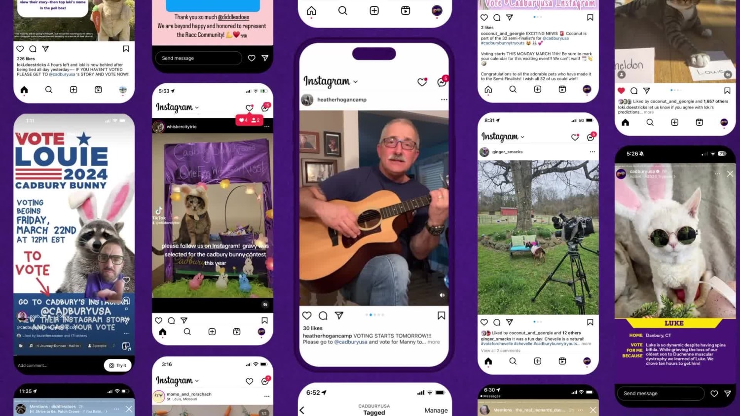 Cadbury Bunny Bracket Case Study 2025 FINAL 1
